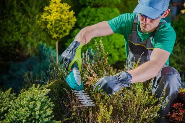 landscaping services Woodridge